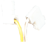 yellow &white lead1.gif